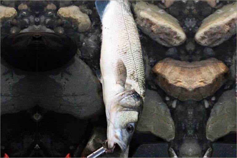 EL YAPIMI SAHTE BALIKLA AV