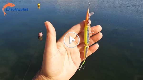 El yapımı Kuyruklu Zargana (115 mm )