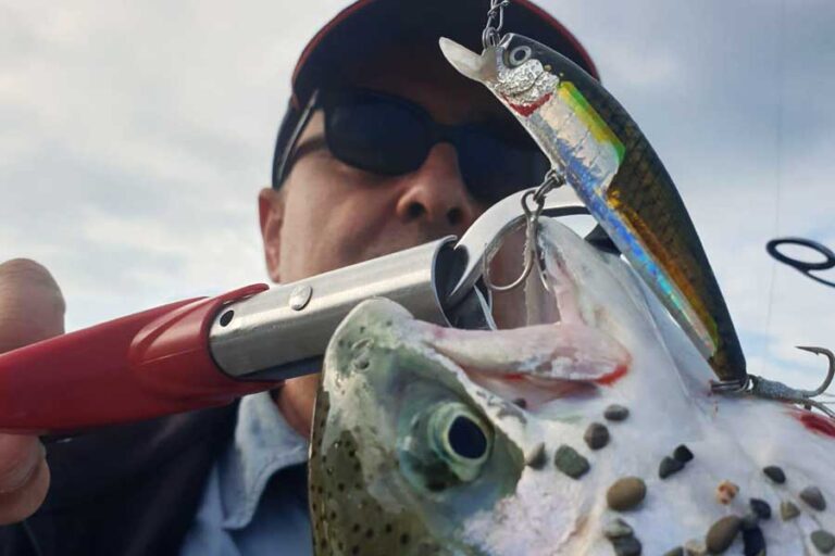 El yapımı sahte balık