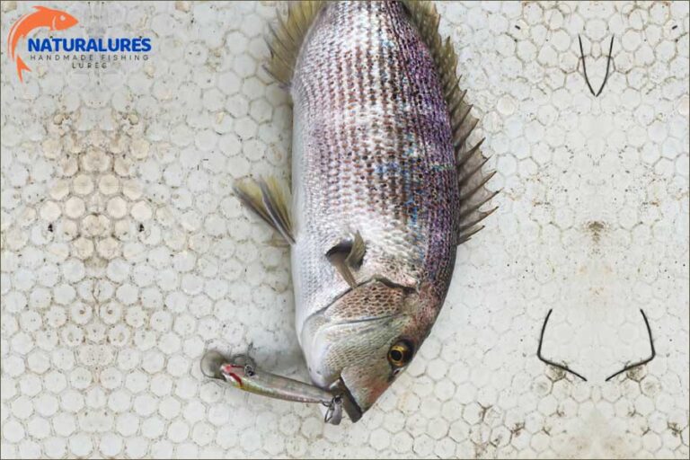 EL YAPIMI SAHTE BALIKLA AV