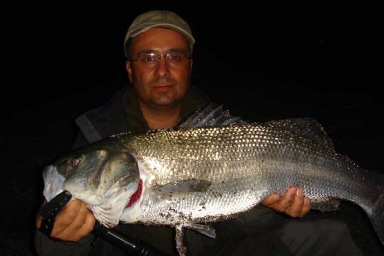 El yapımı sahte balık