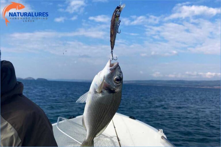 EL YAPIMI SAHTE BALIKLA AV