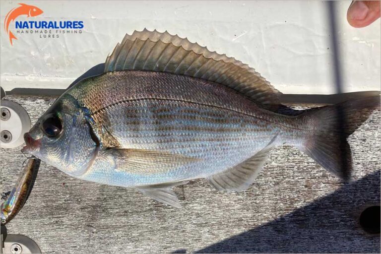 EL YAPIMI SAHTE BALIKLA AV