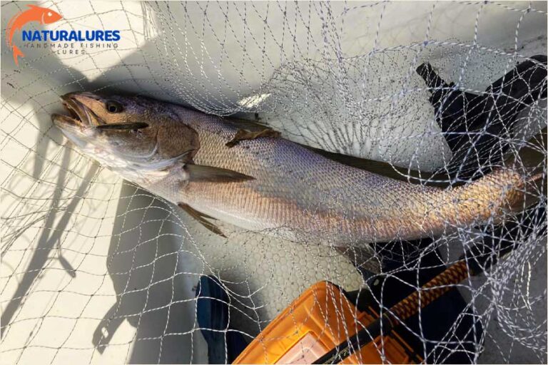 EL YAPIMI SAHTE BALIKLA AV