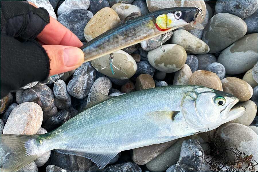 EL YAPIMI SAHTE BALIKLA AV