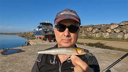 140 Natural kefal yüzme aksiyon videosu 140 Natural kefal yüzme aksiyon videosu