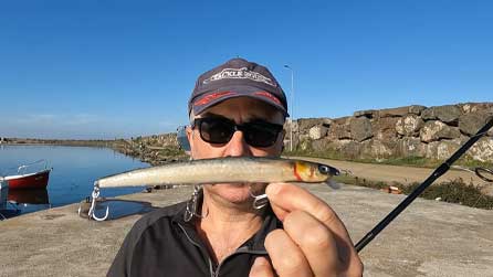 173 natural Kefal Yüzme ve Aksiyon videosu 173 natural Kefal Yüzme ve Aksiyon videosu