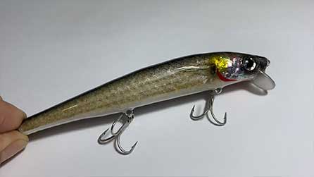 123 Natural Kefal Görsel ve yüzme aksiyon videosu