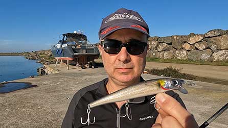 140 natural zargana görsel ve yüzme aksiyon 140 natural zargana görsel ve yüzme aksiyon